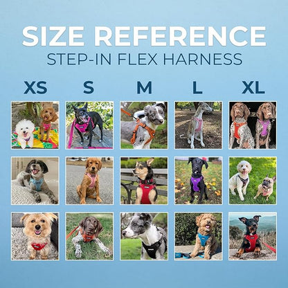 Best Pet Supplies Voyager Adjustable Step-in Flex Breathable Mesh Dog Harness for Small Medium Large Dogs (Orange), M