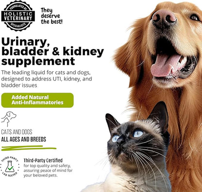 UroMAXX, Cat & Dog Urinary Tract Treatment, Bladder & Kidney Support for Dogs and Cats, Powerful Yet Gentle Pet Care, with Liquid Cranberry & Glucosamine, Chicken Flavor, 6 oz Bottle, 1 Pack