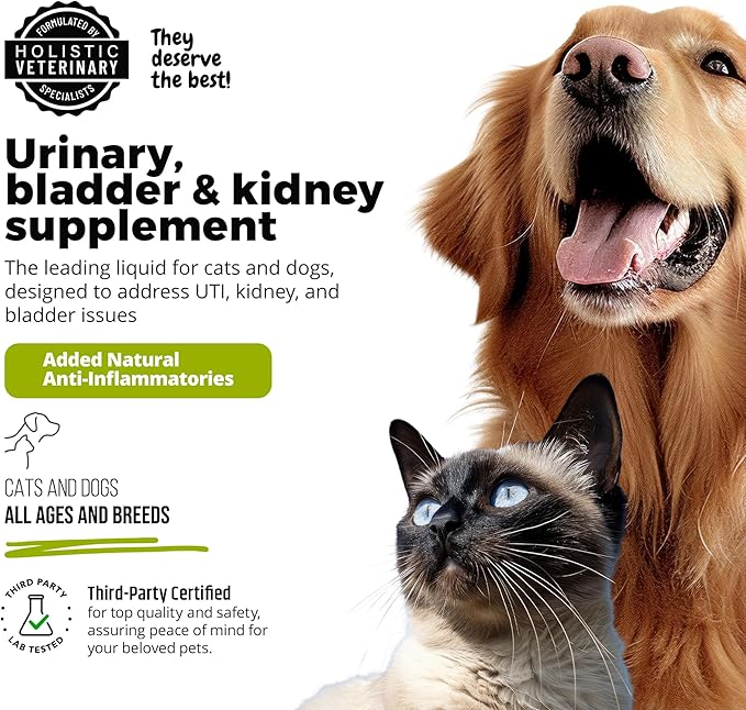 UroMAXX, Cat & Dog Urinary Tract Treatment, Bladder & Kidney Support for Dogs and Cats, Powerful Yet Gentle Pet Care, with Liquid Cranberry & Glucosamine, Chicken Flavor, 6 oz Bottle, 3 Pack