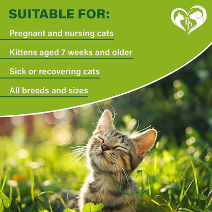 Natural Flea & Tick Collar for Cats - 12 Months Control of Best Prevention & Safe Treatment - Anti Fleas and Ticks Essential Oil Repellent (1 Count)