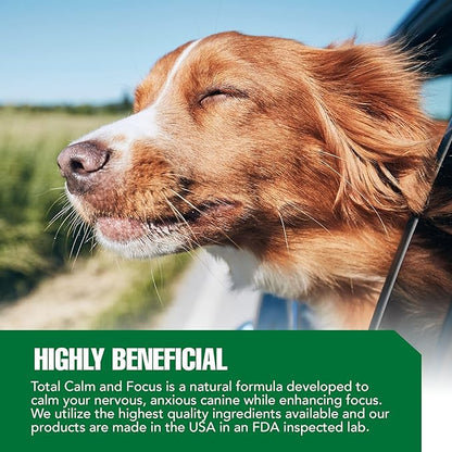 Ramard Total Calm & Focus Dog Treat Supplement - Natural Calming Chews with Magnesium & B-Vitamins - 45 Soft Chews for Canine Calmness During Training, Grooming, and Everyday Enjoyment