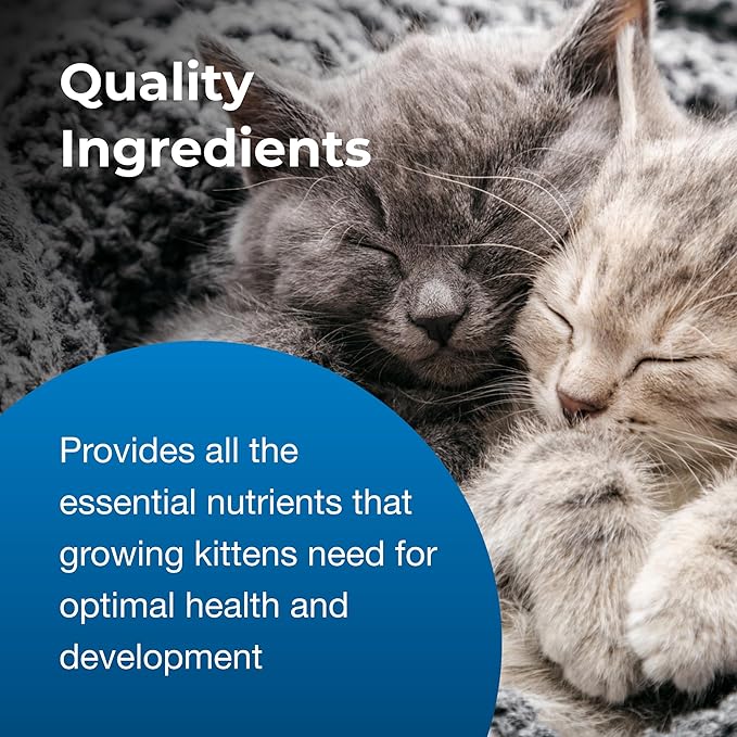 PetAg KMR Kitten Milk Replacer Powder - 6 oz, Pack of 12 - Powdered Kitten Formula with Prebiotics, Probiotics & Vitamins for Kittens Newborn to Six Weeks Old - Easy to Digest