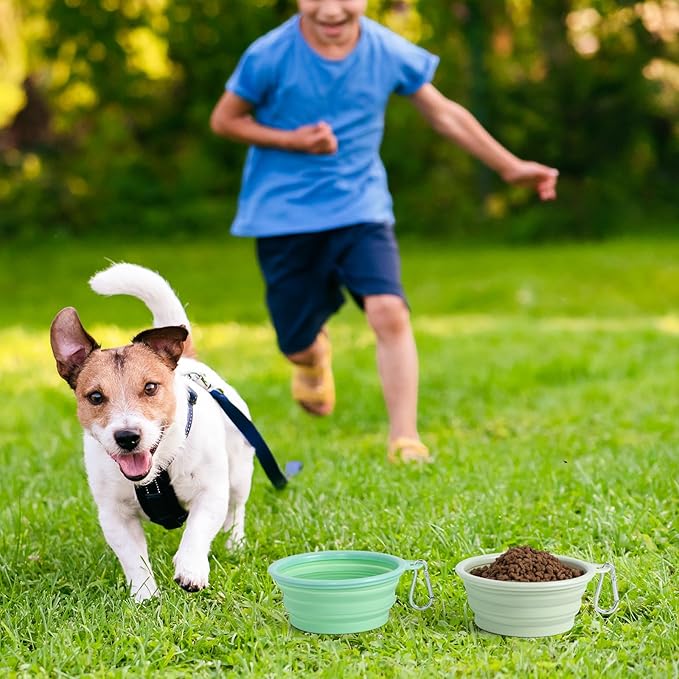 SLSON Collapsible Dog Bowl, 2Pack Macaron Color Pet Travel Bowls Silicone Foldable Water Feeder Dish for Small to Large Dogs Cat Walking Hiking Camping (Macaron Light Green and Light Yellow, Small)
