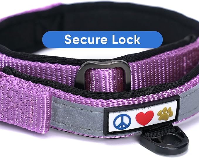 Pawtitas Lumberjack Padded Martingale Collar for Dogs | Soft Neoprene Dog Collar for Your pet's Comfort Made with Reflective Band for Maximum Visibility | Fits Small and Large Pets - Medium Orchid