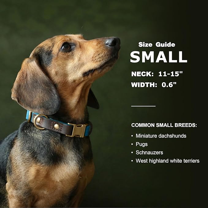 Didog Soft PU Leather Dog Collars for Small Dogs,Classic Adjustable Dog Collars with Quick Release Metal Buckle,Easy Clean and Comfortable with Nylon Lining,Light Blue,S Neck 11-15"