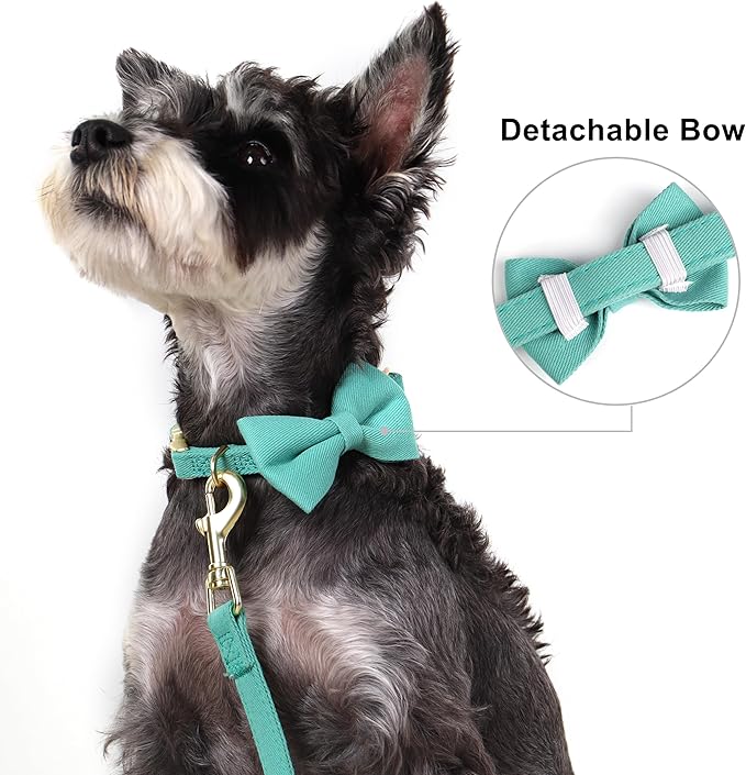 Beirui Adorable Small Dog Harness Collar Leash Set,Cute Puppy Harness with 3 Bows for XS Dogs,Yorkie,Adjustable Step-in Vest for Walking,Parties&Holiday Outfits(Teal,XS)