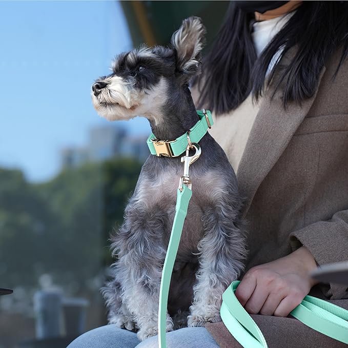 PET ARTIST Soft PU Leather Dog Collar and Leash Set, Bright & Stylish 5FT PU Leather Leash and Collar Set, Durable Pet Collars with Quick Release Metal Buckle for Large Dogs,Mint Green,L(16-27")