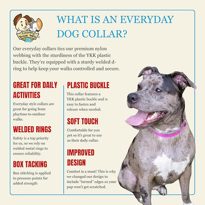 Country Brook Petz - Everyday Nylon Dog Collar for Large, Medium, and Small Dogs and Puppies - for Everyday Use in 10+ Warm Colors (Extra Large, 1 Inch Wide, Gold)