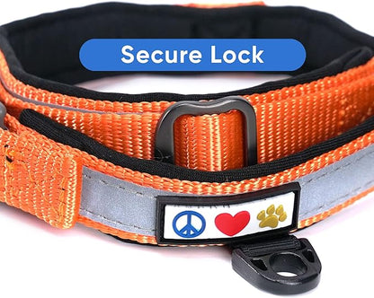 Pawtitas Lumberjack Padded Martingale Collar for Dogs | Soft Neoprene Dog Collar for Your pet's Comfort Made with Reflective Band for Maximum Visibility | Fits Small and Large Pets - XXS Orange