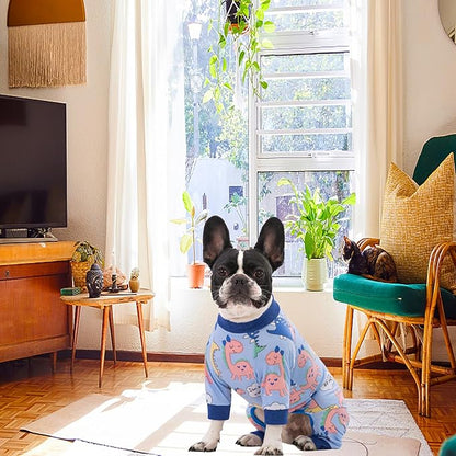 Dog Recovery Suit, Dinosaur Blue, Medium, Soft & Comfortable, Machine Washable, Cone Alternative, Prevent Licking, Female Male, All Seasons