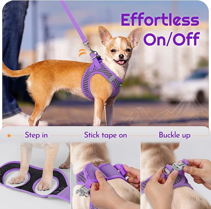 Eagloo Small Dog Harness and Leash Set, Step in Puppy Vest with Breathable Soft Mesh, Walking Reflective Pet Harness for Small Dogs, Purple, XS