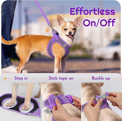 Eagloo Small Dog Harness and Leash Set, Step in Puppy Vest with Breathable Soft Mesh, Walking Reflective Pet Harness for Small Dogs, Purple, XS