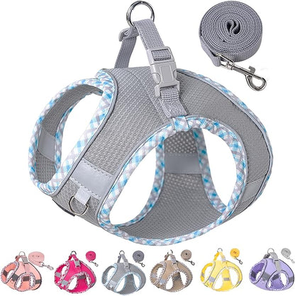 Petank Dog Harness for Small Medium Dogs No Pull, Puppy Harness and Leash Set for Walking, Running, Training, Small Dog Harness, Medium Dog Harness (Grey, M)