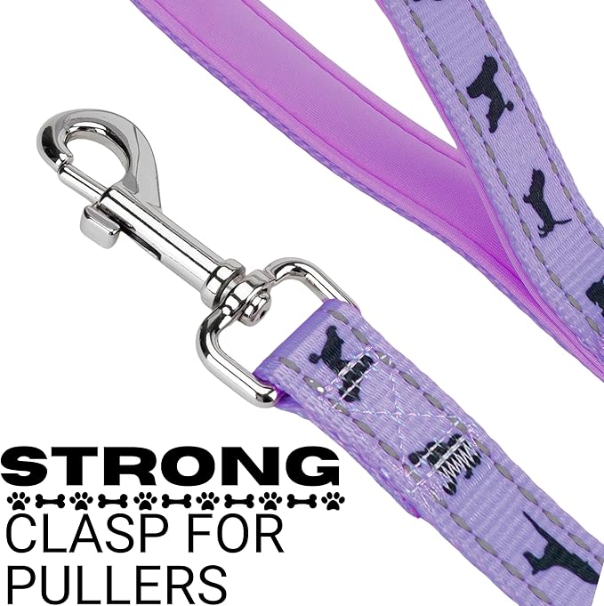 EcoBark Dog Leash - Soft & Reflective Comfort Leashes with Padded Handle - Soft, Strong, & Durable for Small, Medium or Large Dogs (Lavender)