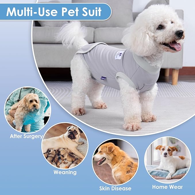 cyeollo 2pack Surgery Recovery Suit for Dogs Cats Soft Breathable Female Male Pet Bodysuit After Surgery for Spay, Neuter, Surgical Recovery Onesie Shirt for Medium Large Dogs, Blue & Grey, XL