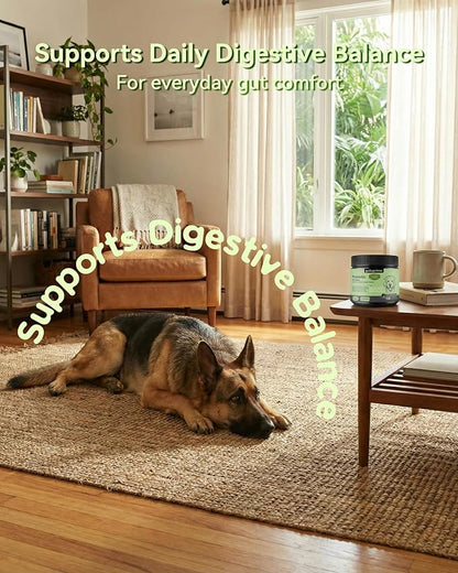 Probiotic Soft Chews for Dogs – Daily Gut & Digestive Support, Spore-Forming Probiotic with Multi-Strain Lactobacillus, Prebiotic Inulin/FOS, Chicken Flavor, 120 Chews
