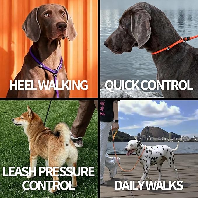Dog Anti-Slip Leash 5FT with Metal Stopper - Durable No-Pull Training Lead for Small, Medium & Large Dogs - Comfortable Handle Nylon Rope, Tangle-Free Pet Walking Leash (Black, 5 FT)
