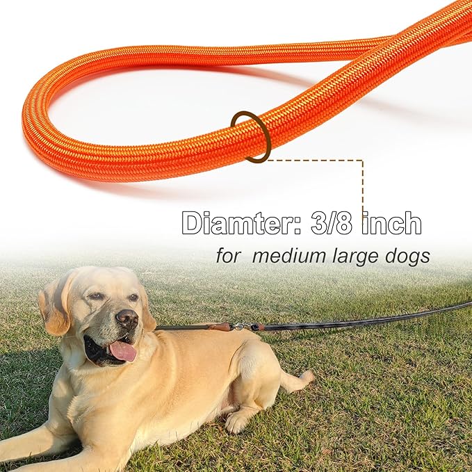 50FT Dog Tie Out Leash, Long Tether 15ft 20ft 30ft 65ft Nylon Rope Check Cord for Medium Large Dogs Outdoor Training Camping Backyard (Orange, 3/8")