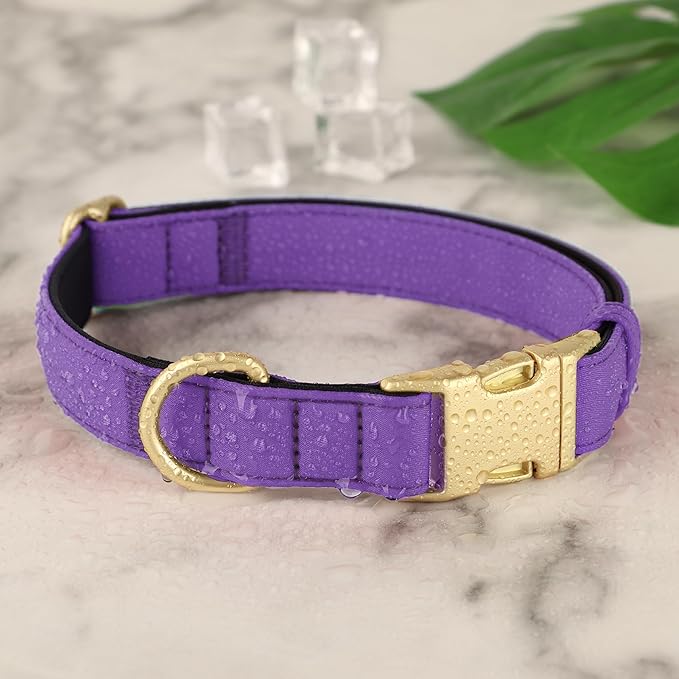 Didog Colorful Soft Padded Nylon Dog Collar & 5FT Dog Leash Set for Medium Dogs