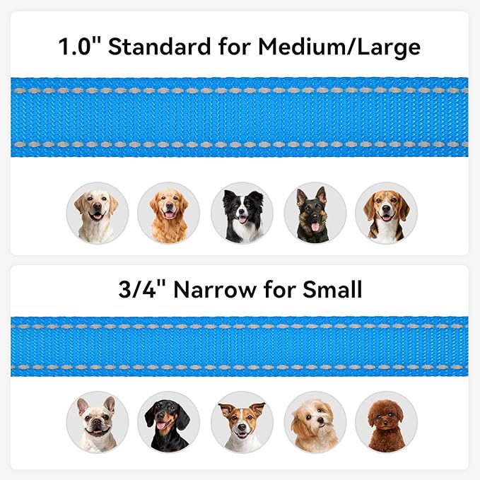 Joytale Dog Leash, 5 FT Double-Sided Reflective, Padded Handle Nylon Heavy Duty Leashes for Small Dogs Walking, Sky Blue