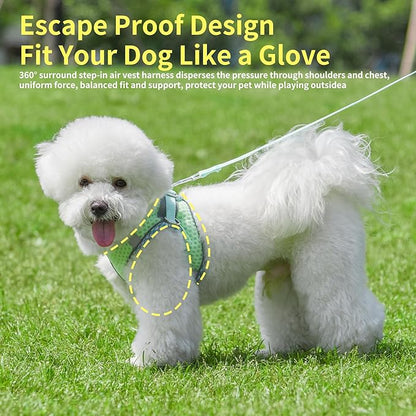 Soft Dog Harness and Leash Set for Walking, Summer Step in Vest Harness, Reflective Bands, Ultra Thin Breathable Pet Supplies, for Extra Small Dogs and House Cats Sage XS