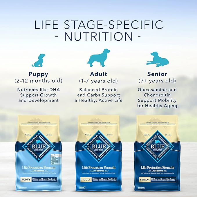 Blue Buffalo Life Protection Formula Natural Puppy Dry Dog Food, Chicken and Brown Rice 6-lb