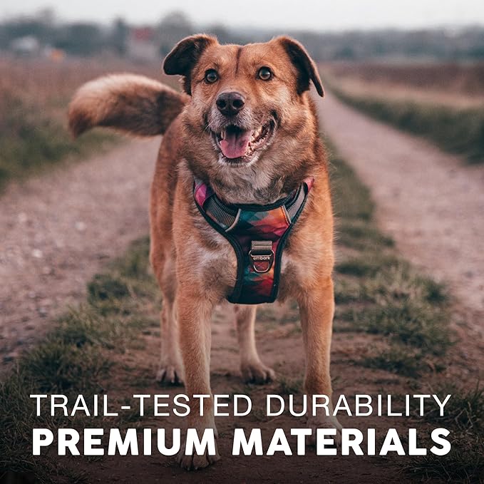 Embark Adventure XL Dog Harness for Extra Large Dogs – No Pull, Reflective Trim, Military Grade Nylon, 2 Leash Clips, Gel-Lined Handle, Soft Padded