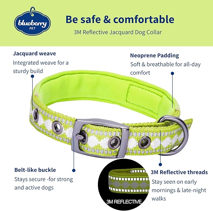 Blueberry Pet Reflective Jacquard Dog Collar with Neoprene Padding & Metal Buckle | Soft & Adjustable Safety Collar - Macaw Green, Neck 17-20.5", for Large Breed