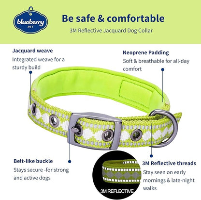 Blueberry Pet Reflective Jacquard Dog Collar with Neoprene Padding & Metal Buckle | Soft & Adjustable Safety Collar - Macaw Green, Neck 17-20.5", for Large Breed
