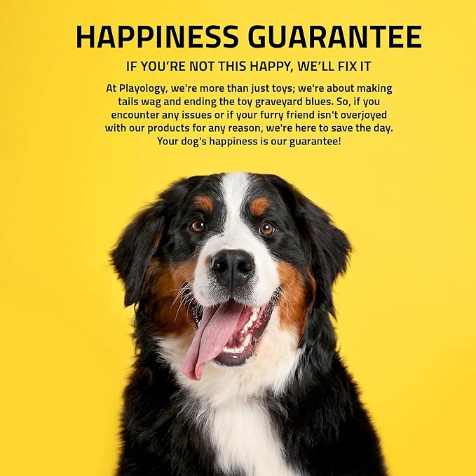 Playology Dog Toys | Dual Layer Bone Durable Chew Toy Bone for Dogs | Medium Chicken Scented Toy - Easy to Clean and Made from Non Toxic Materials