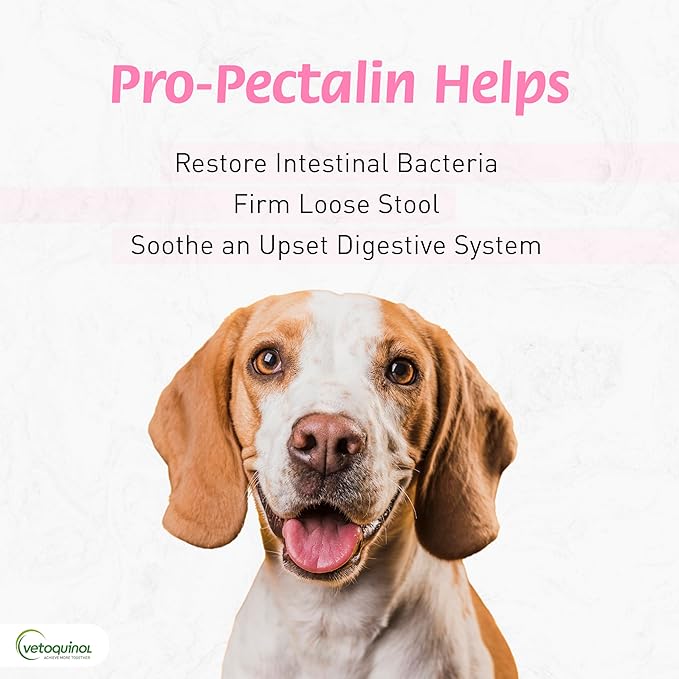 Vetoquinol Pro-Pectalin Chewable Tablets for Dogs & Cats, Helps Relieve Occasional Diarrhea, Situational Diarrhea Relief with Kaolin and Pectin, Contains Beneficial Probiotic Bacteria, 250 ct