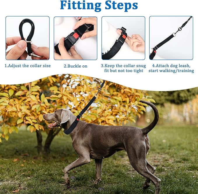 Mayerzon Dog Collar, Patented Martingale No Pull Collar for Small Medium Large Dogs with Buckle for Walking Training, Hidden Design (Black, Large,2.5mm,18.5"-23.5" Neck)