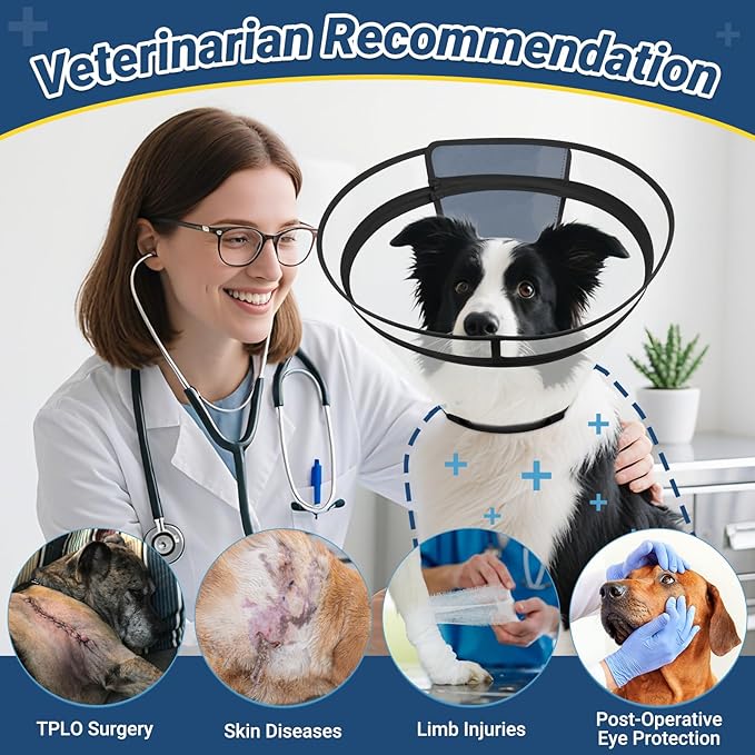 Dog Cone to Stop Licking, Clear Recovery Collar with Detachable Zipper, Sturdy Elizabethan Collar for Large Medium Small Dogs, Soft Adjustable Cone After Surgery Patented, Black S