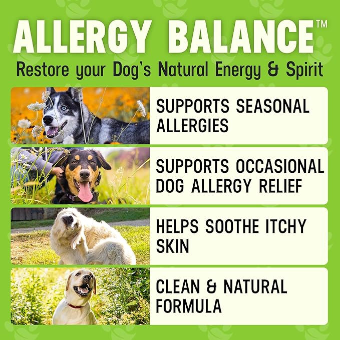 Better Dog Supplements Allergy Balance by Cesar Millan – Natural Allergy Support Powder for Dogs – Seasonal Allergies, Itching & Occasional Allergy Relief with Herbal Ingredients – 4oz (60-Day Supply)