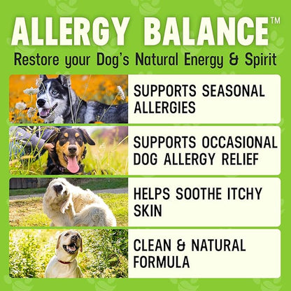 Better Dog Supplements Allergy Balance by Cesar Millan – Natural Allergy Support Powder for Dogs – Seasonal Allergies, Itching & Occasional Allergy Relief with Herbal Ingredients – 4oz (60-Day Supply)