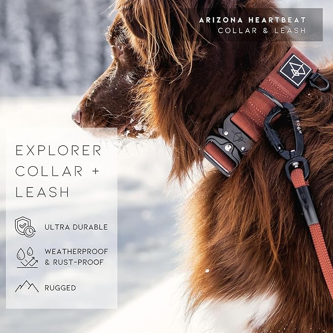 Made to ROAM Premium Dog Collar - Adjustable Heavy Duty Nylon Collar with Quick-Release Metal Buckle (Arizona Heartbeat, Classic Size 2)