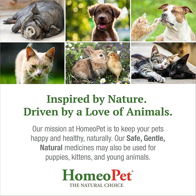 HomeoPet Leaks No More, Safe, Gentle, and Natural Supplement for Cat and Dog Urinary Incontinence Relief, 15 Milliliters