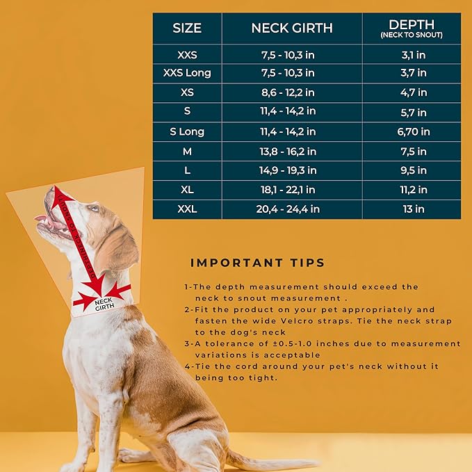 Dog Cone Collar Adjustable After Surgery, Protective Soft Dog Cone, Elizabethan Dogs Collar (Black, S Long [Neck Girth: 11.4"-14.2"])