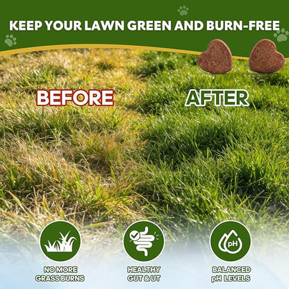 Grass Burn Spot Chews for Dogs, Dog Pee Lawn Spot Saver Caused by Dog Urine, Green Grass Chews with Gut Health Probiotics, DL-Methionine and Cranberry, Urine Neutralizer for Lawn - 120 Ct