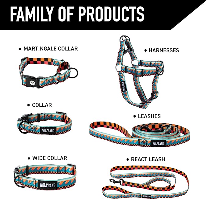 Wolfgang Heavy Duty Martingale Dog Collar with Quick Release Nylon Buckle for Walking & Training, BuenaOnda Print, Small