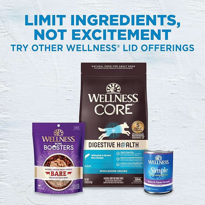 Wellness Simple Limited Ingredient Adult Dry Dog Food, Grain Free Kibble, Sensitive Stomach, Skin & Coat Support, Natural, Chicken Free, Turkey and Potato Recipe, 26 lb Bag