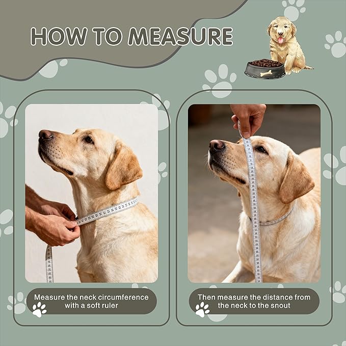 Inflatable Dog Cone with Transparent Shield, Large Size Protective Dog Donut Collar After Surgery Soft Donut Cone for Dogs, Gray, Large