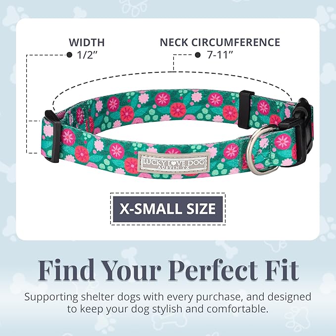 Lucky Love Dog - Adjustable Dog Collar with Easy Click Buckle for Small Dogs, Durable, & Comfortable for Male & Female Dogs, Pet Collar for Puppies & Adult Ones - Penny, XS