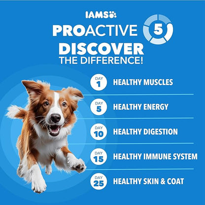 IAMS Proactive Health, Dry Dog Food, Adult Dog Food Dry Recipe for Healthy Weight, with Chicken, 15 lb. Bag