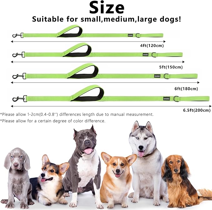 Dog Leash 4ft Long, Double Handle Dog Leash for Safety Control Training, Heavy Duty Dog Leads with Traffic Padded Handles, Reflective Leashes for Small Medium Large Dogs(4ft, Green)