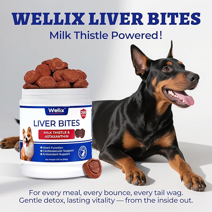Wellix 260 Bites Liver Support for Dogs - Milk Thistle for Dog Liver Supplements with Omega-3 - Supports Heart & Antioxidant for Large,Small Breed Fogs -Chicken Flavor