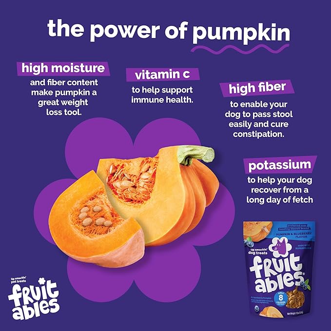 Fruitables Baked Dog Treats, Healthy Pumpkin Treat for Dogs, Low Calorie & Delicious, Made Without Wheat, Corn and Soy, Made in The USA, Allergy Friendly, Chicken and Cranberry Flavor, 12 oz