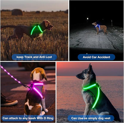 ChalkLit Light Up Dog Harness, No Pull Led Dog Harness Glow-in-The-Dark for Night Walking, USB Rechargeable Lighted Safety Vest for Medium Large Dogs, Adjustable Soft Mesh Fully Illuminated (Blue, XL)