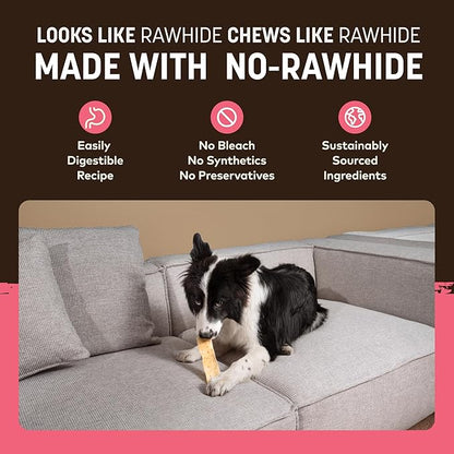 Earth Animal No Hide Strips - Natural Rawhide Free Dog Chew Strips, Salmon - 4 Count