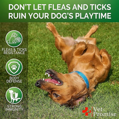 (2 Pack) Flea and Tick Prevention for Dogs Chewables - All Natural Flea & Tick Control Chews - Oral Pills for Dogs Supplement - All Breeds and Ages - Made in USA - 240 Chews